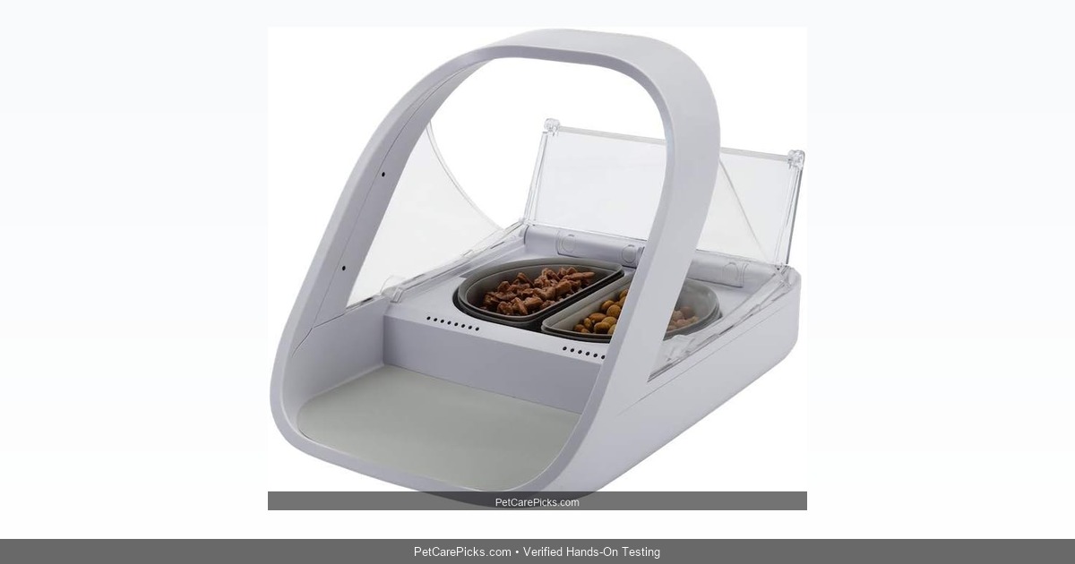 SureFeed Microchip Pet Feeder Review 2026: The Multi-Pet Solution